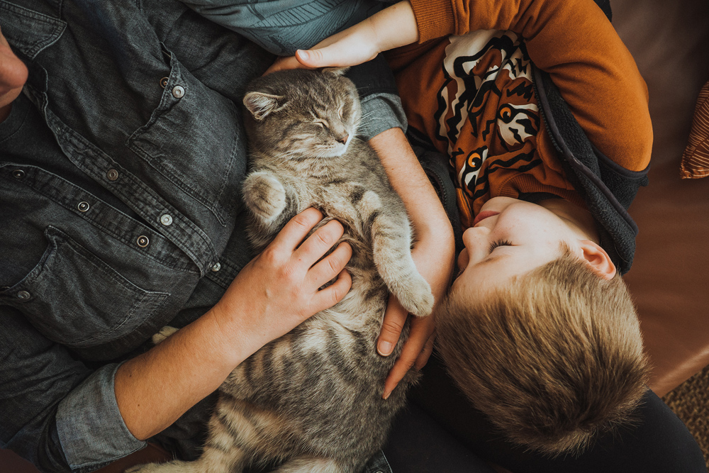 Les animaux font partie de la famille