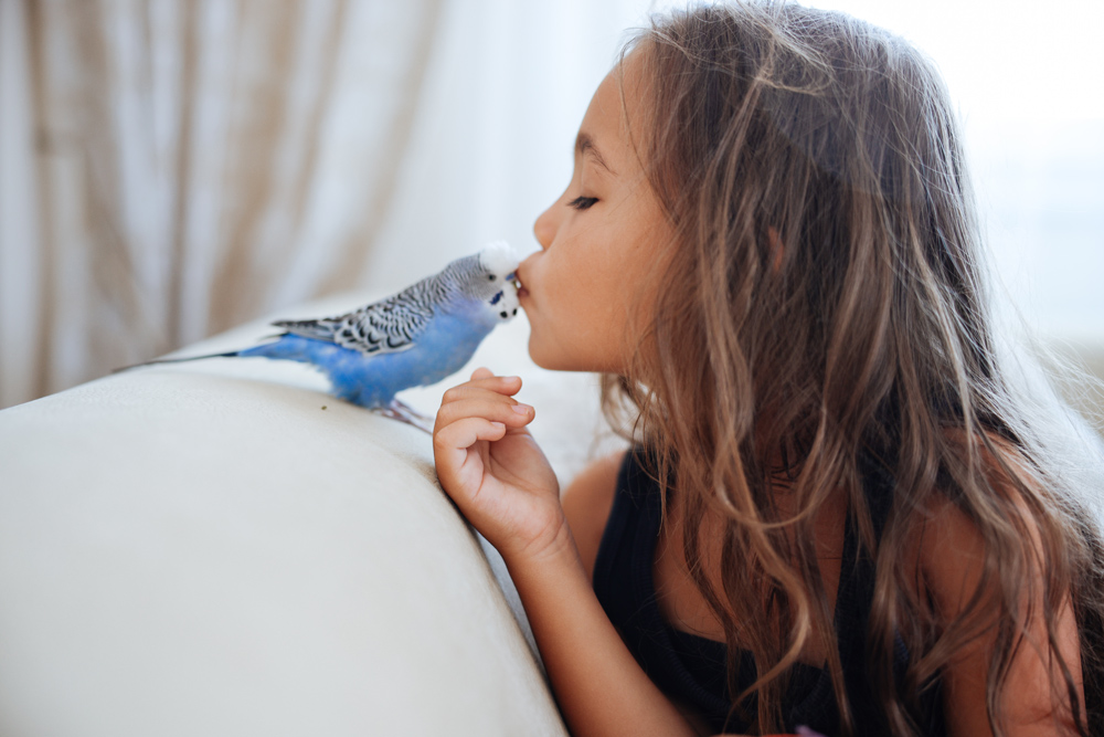 Les animaux sont des êtres vivants doués de sensibilité