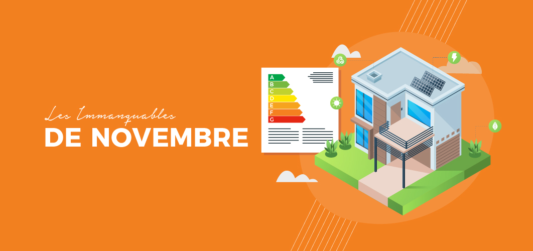 Les immanquables de novembre